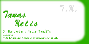 tamas melis business card